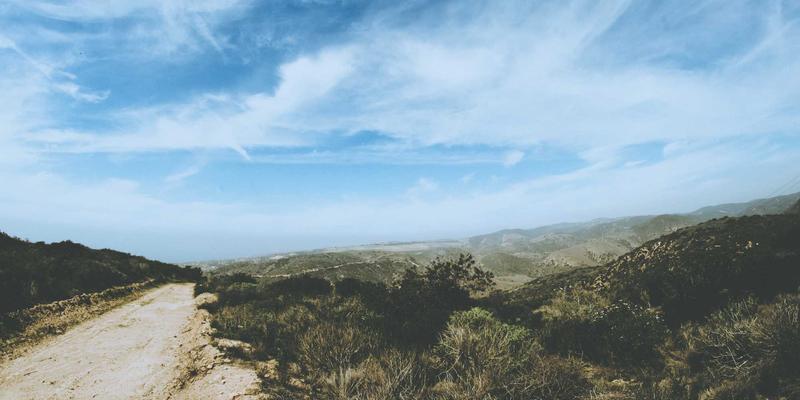 从《本草纲目》到现代餐桌：即食海参如何成为健康食品新宠