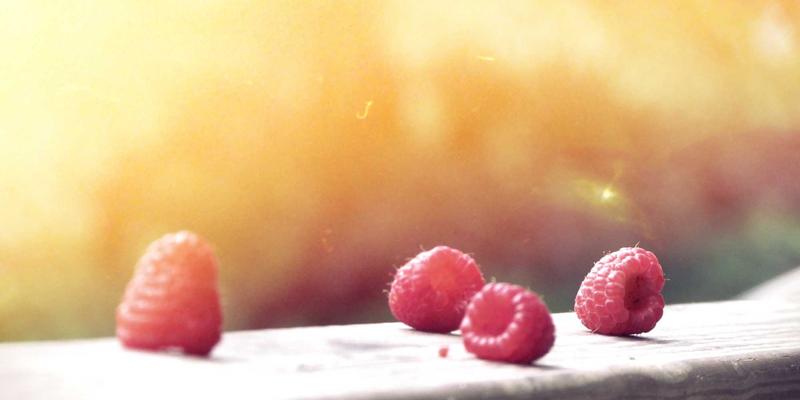 从深海到餐桌：探秘野生海参捕捞与即食加工的品质控制全链条