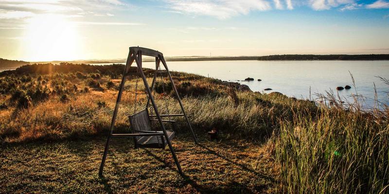 即食海参与海参礼盒：中医视角下，不同体质人群的滋补禁忌与建议