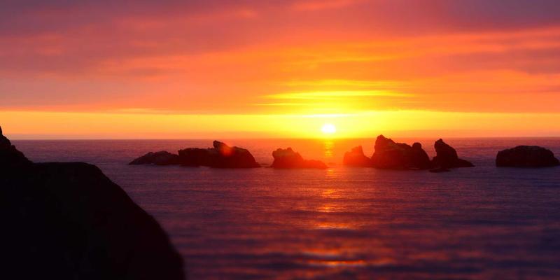 即食海参加工技术揭秘：锁鲜工艺与添加剂真相，野生海参的海洋滋补价值如何保留？