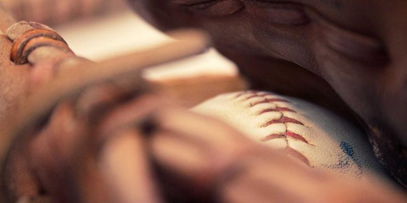 海参13:揭秘野生海参作为顶级健康食品的滋补奥秘