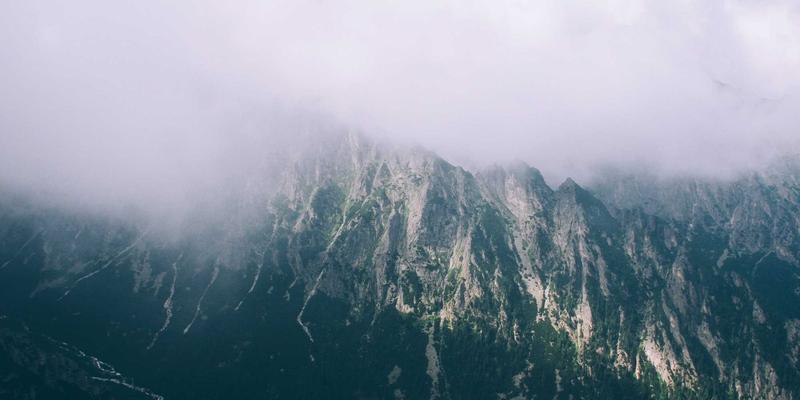 海参14:揭秘传统滋补品如何进化为现代健康食品新宠