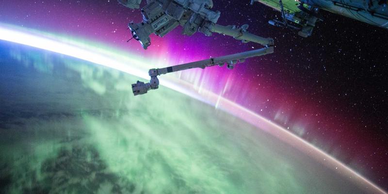 海参15：即食海参的滋补新选择，海洋滋补品中的营养王者