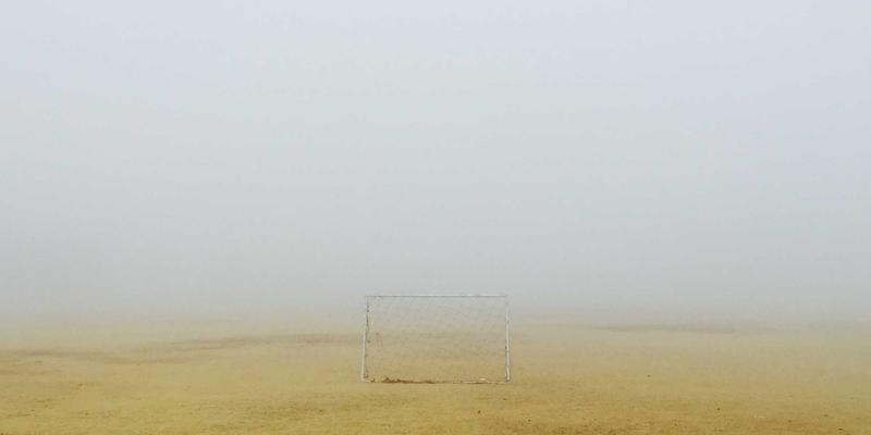 海参53:揭秘高端海参产品与礼盒的健康密码