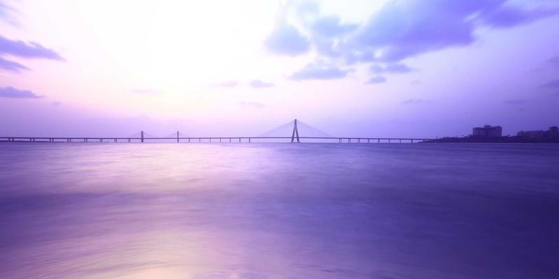 海参70：即食海参与海参礼盒的选购与营养价值全解析