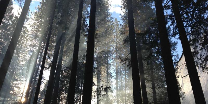 海参84:揭秘海洋滋补珍品的现代智慧与即食革命