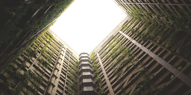 海参8：即食海参与海参礼盒的海洋滋补全攻略