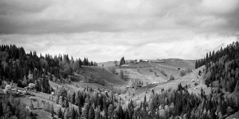 海参产品如何泡发？掌握正确步骤与技巧，让健康食品发挥最大价值