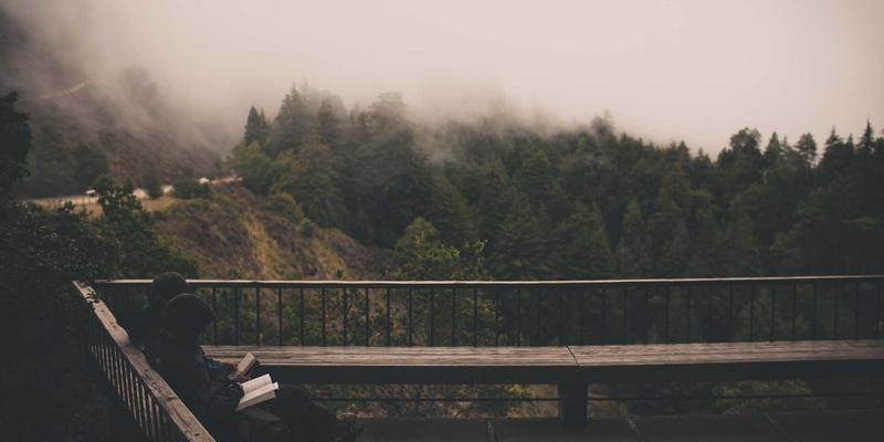 海参全攻略:从野生鉴别到即食选择,解锁滋补品之王