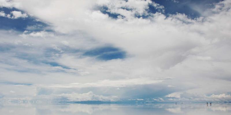 海参多糖的免疫调节机制：现代科学揭秘传统滋补品的神奇功效