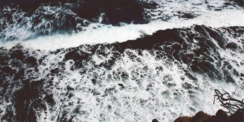 海参泡发全攻略：从干海参到即食状态的科学步骤与常见误区解析