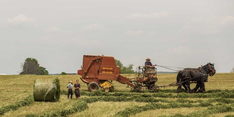 海参泡发失败全解析：从海参礼盒到即食海参，掌握正确步骤避免浪费