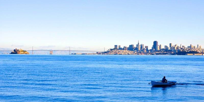 海参消费陷阱大揭秘：识别常见造假手段，避开高价低质即食海参