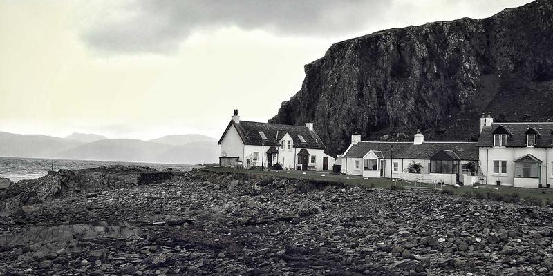 海参皂苷：即食海参与健康食品中的免疫“黄金成分”