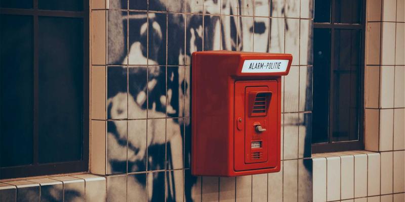 海参肽的制备工艺与生物活性研究：揭秘小分子吸收的奥秘，为何高端海参礼盒备受青睐