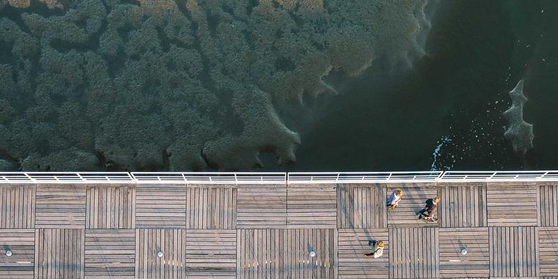 海参肽的提取与应用：科学验证小分子吸收率，揭秘海洋滋补新高度