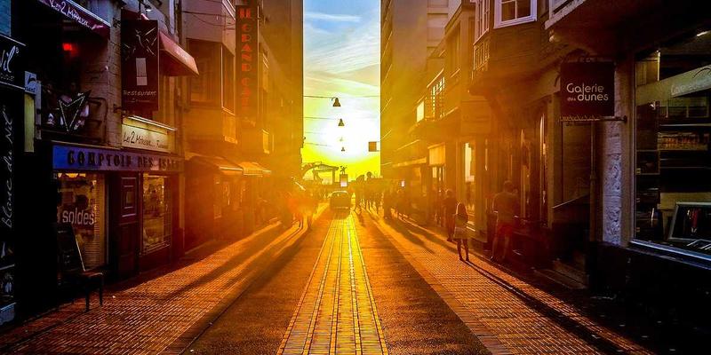 海参行业标准与认证全解析：如何通过标识精准辨别有机、绿色与无公害产品