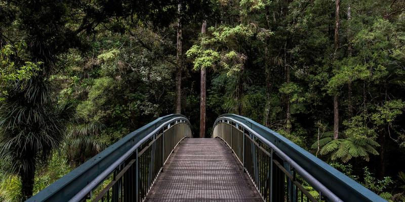 海洋滋补圣品：从干海参到饱满Q弹的全攻略，避开常见误区