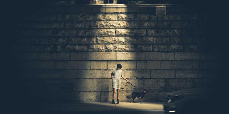 海洋滋补宝典：从辽参到梅花参，不同海域海参品种的滋补特性全解析