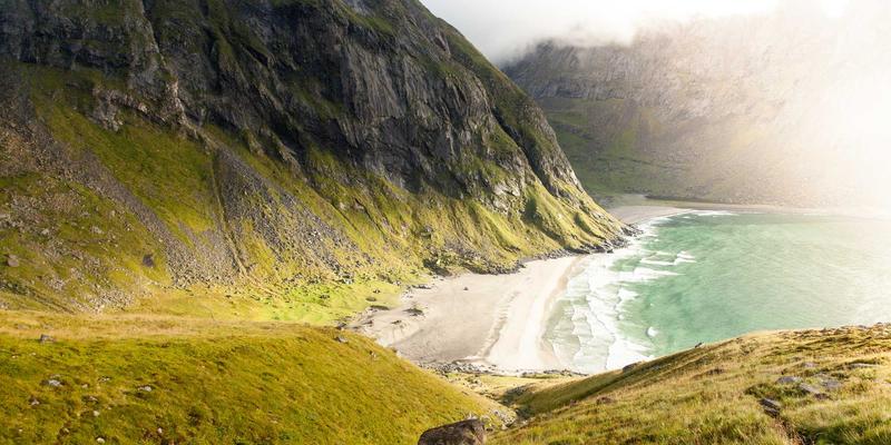 海洋滋补新发现：海参皂苷的抗肿瘤潜力与科学食用指南