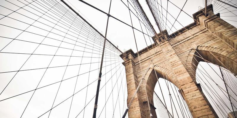 海洋滋补新发现：野生海参多糖如何科学调节血糖与守护肠道健康