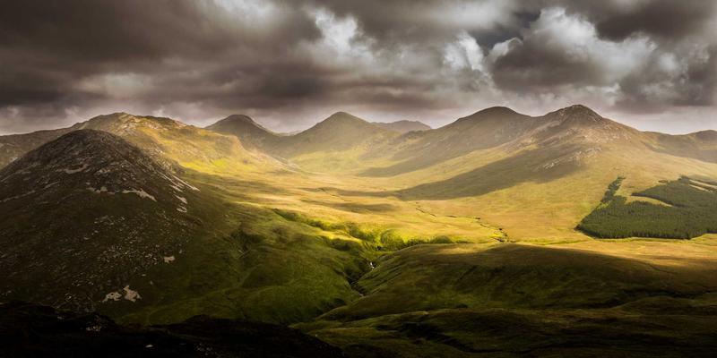 海洋滋补新纪元：即食海参中的小分子活性肽如何重塑功能性食品