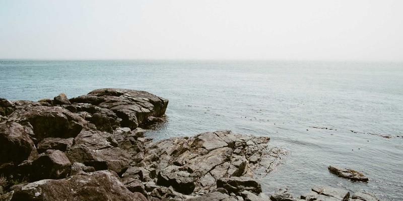 海洋滋补新选择：揭秘海参崴野生海参与国内养殖海参的品质差异