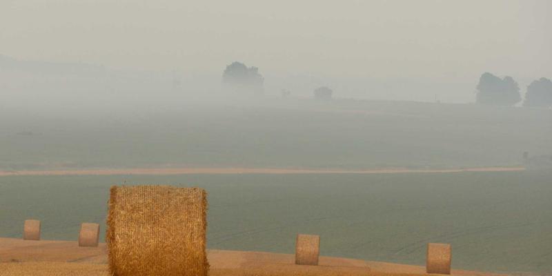 海洋滋补新选择：野生海参的家常做法大全，简单易学的滋补食谱推荐