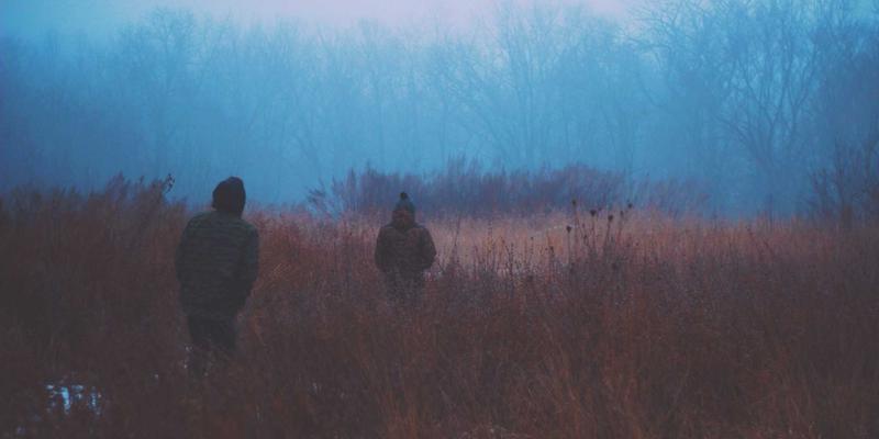 海洋滋补珍品:探寻野生海参的养生奥秘与礼盒文化