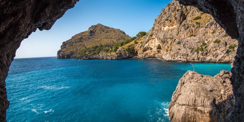 海洋瑰宝的药用密码：解析野生海参中粘多糖的抗凝血与抗肿瘤机制