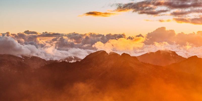 淡干、盐干、糖干海参工艺全解析：如何鉴别并选择优质海洋滋补品