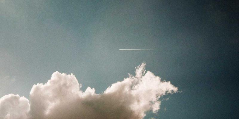 野生海参VS养殖海参:滋补品市场的健康选择深度解析