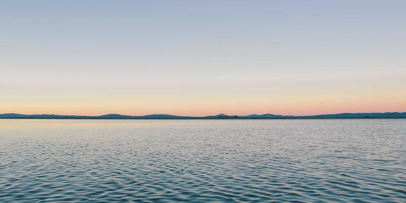 野生海参：健身增肌者的海洋蛋白宝库，揭秘其优质蛋白与微量元素的协同效应