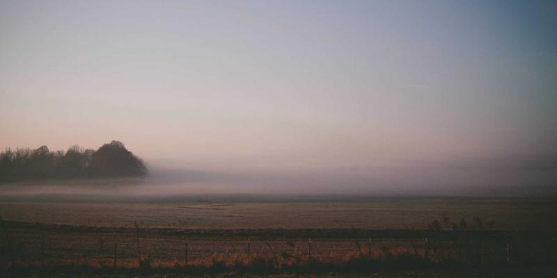 野生海参家常煲汤秘籍：与鸡肉、排骨、菌菇的黄金搭配法则，解锁海洋滋补精华