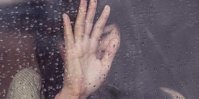 野生海参的精华力量：深度解读海参皂苷的免疫调节与抗炎作用