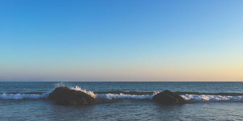 野生海参胶原蛋白：科学揭秘其抗衰老魔力与选购指南（附海参礼盒/即食海参建议）